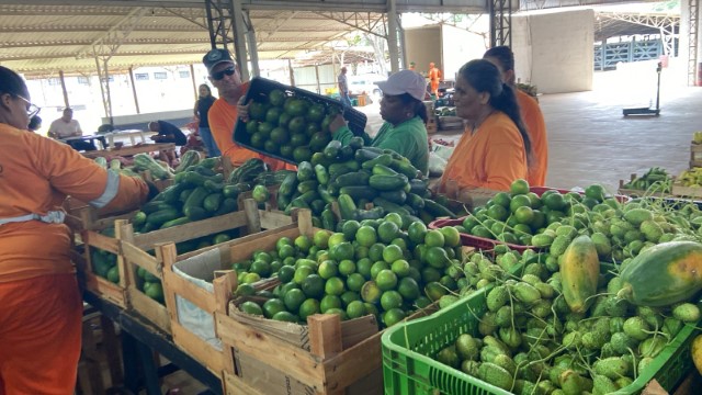 21ª entrega do PAA repassa 18 ton. de alimentos de qualidade a famílias e entidades de PP