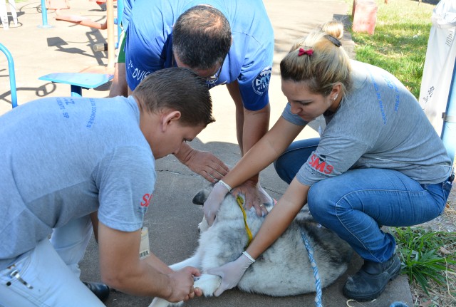 Centro de Controle de Zoonoses confirma 32 novos casos de Leishmaniose Visceral Canina