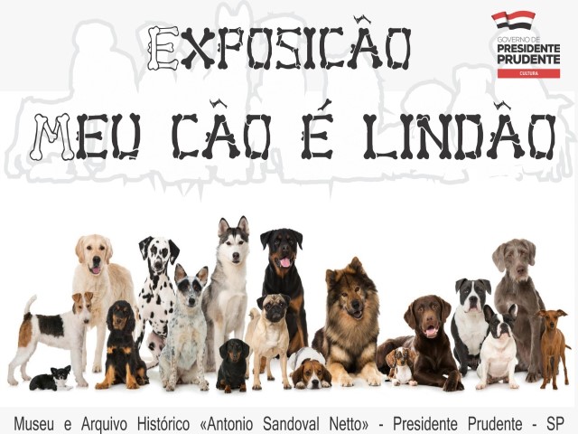 Museu realizará a exposição interativa de fotografias ‘Meu Cão é Lindão’ no mês de agosto