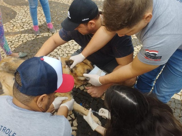UVZ Prudente realiza plantão neste sábado (26) no Parque Ecológico ‘Nelson Bugalho’