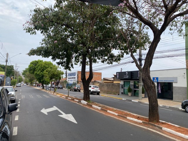 Avenida Paulo Marcondes será interditada domingo para retirada de árvores e ondulações 