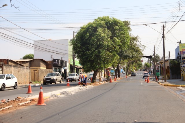 Avenida Paulo Marcondes será interditada na sexta para retirada de árvores e ondulações