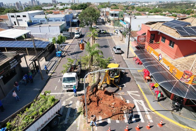 Prefeitura interdita parcialmente Av. Paulo Marcondes para retirar árvores comprometidas