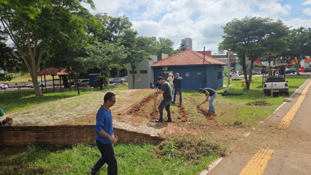 Prudente terá campo de girassóis no Parque do Povo para visitação e fotos