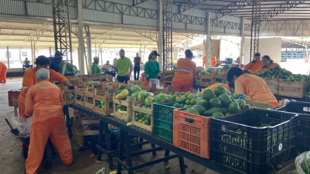 Prefeitura abre chamada pública para produtores rurais interessados em participar do PAA