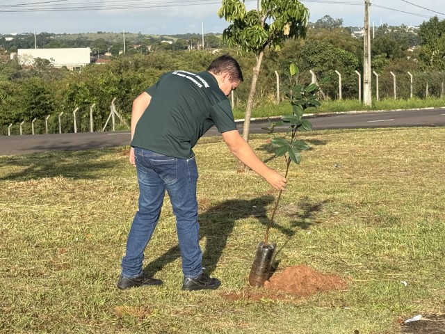 Semea lança Programa Disque Árvore para ampliar arborização urbana