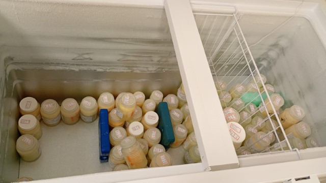 Banco de Leite de Prudente registra queda no estoque e busca novas doadoras