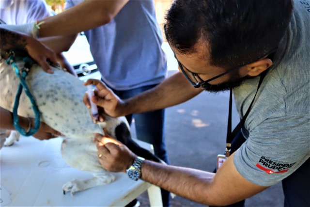 UVZ promove mais dois plantões: Residencial São Paulo e PUM, dias 15 e 18 de abril