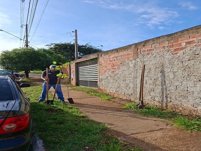 Disque Árvore se aproxima de 100 pedidos em dois meses em Prudente