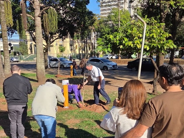 Semana do Meio Ambiente entra na reta final com plantios e distribuição de mudas