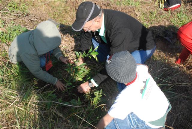 Ação conjunta do Meio Ambiente resulta no replantio de 200 mudas nativas no Córrego