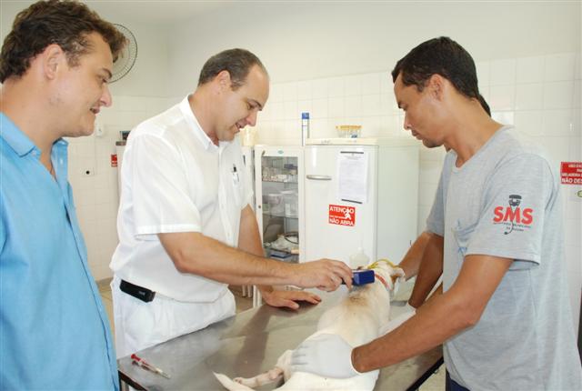 CCZ realiza analise técnica de chips que serão implantados em mais de 44 mil animais