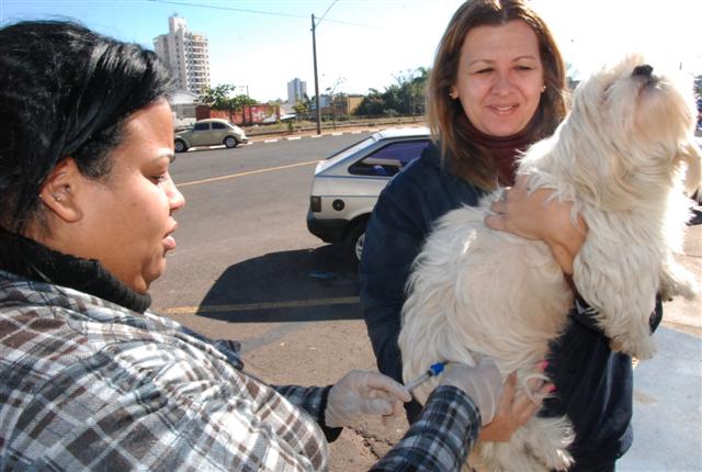 CCZ inicia trabalho de vacinação em ONGs protetoras e imóveis com mais de 10 animais