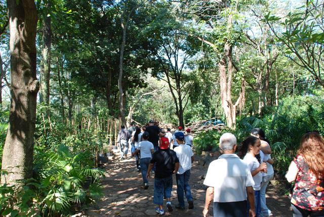 Alunos da Rotariano visitam Horto e aprendem sobre plantio, germinação e cultivo de mudas
