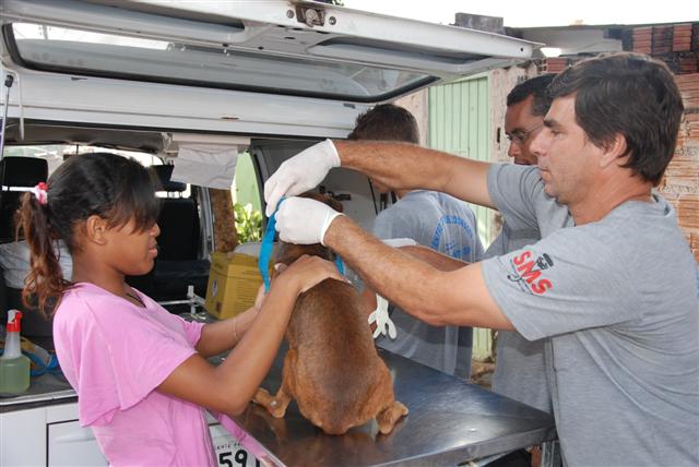 CCZ inicia castração gratuita de cães e gatos de famílias atendidas pelo Bolsa Família
