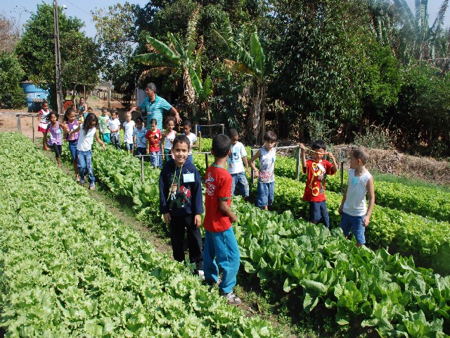 Alunos da João Bohac aprendem sobre alimentação saudável na Horta Municipal