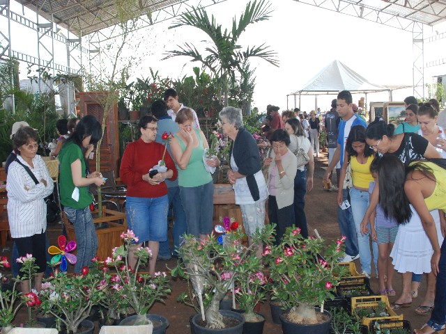 Terceira edição da Ceagesp em Flor recebe cerca de 11 mil pessoas em dois dias