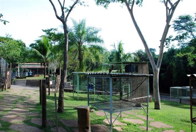 Cidade da Criança e Cetesb realizam reunião para discutir Licença de Manejo do zoológico