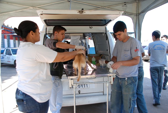 CCZ realiza bloqueio para coleta de sangue e chipagem no bairro Jardim Vila Real 