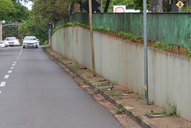 Avenidas recebem conservação em paisagismo; ações são executadas pela Semea