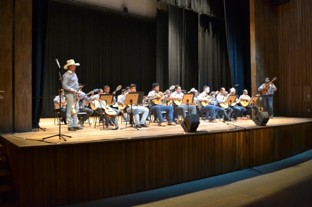 Ensaio Aberto da Orquestra Municipal de Viola neste domingo no Matarazzo