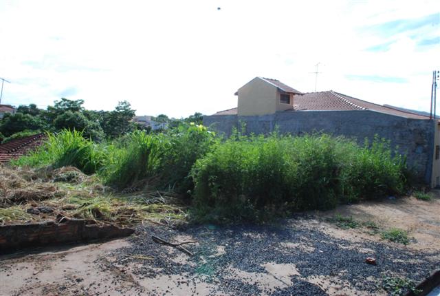 Prefeitura emite 60 mil notificações para donos de terrenos baldios e gera 3 mil multas/ano