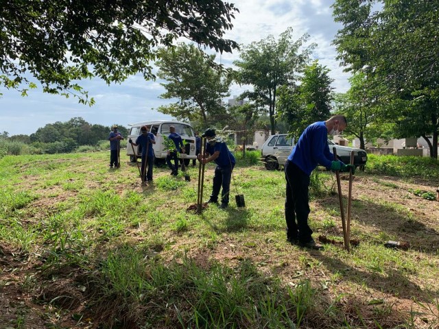 Dia Mundial do Meio Ambiente é lembrado em Prudente com plantio de 120 mudas nativas