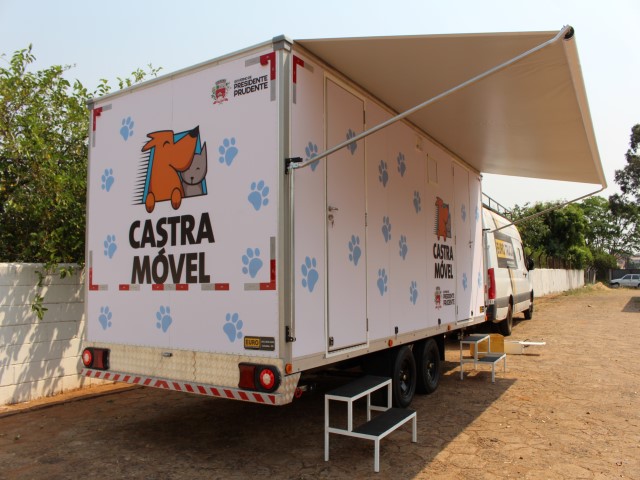 Prefeitura disponibiliza formulário online para solicitação de castração de cães e gatos