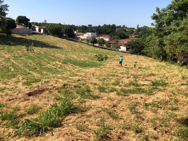 Semea realiza plantio de mudas em área de lazer do Parque das Cerejeiras